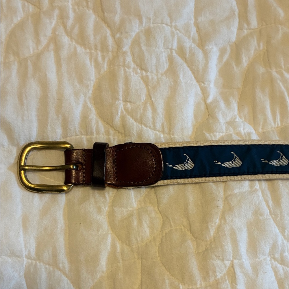 Blue and Brown Belt with Whale Design